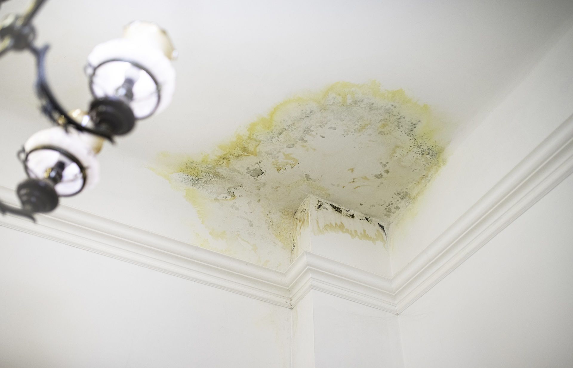 ceiling water spots