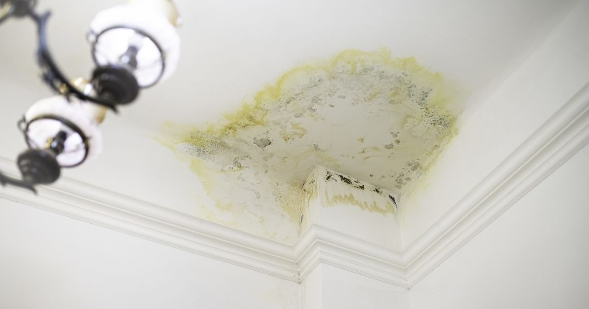 ceiling water spots